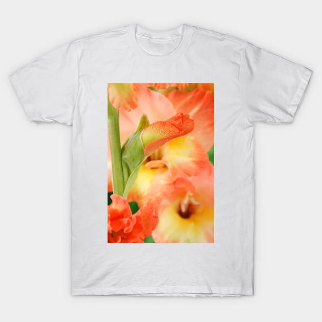 Gladiolus  'Tabasco' T-Shirt by chrisburrows